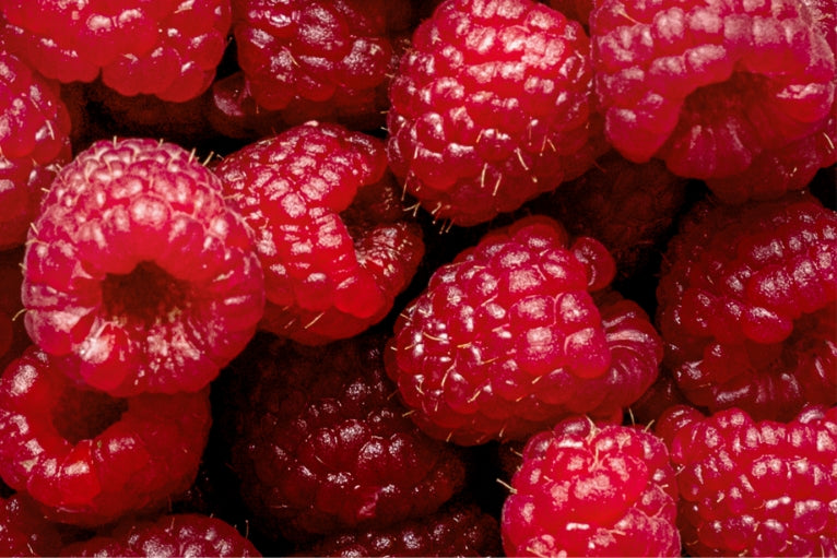 フランボワーズピューレ(加糖)