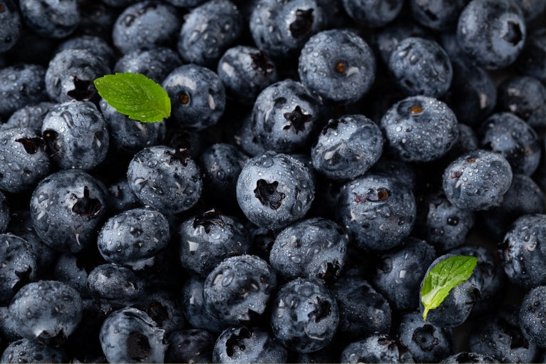 ブルーベリージェラート