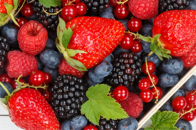 森の実ジェラート